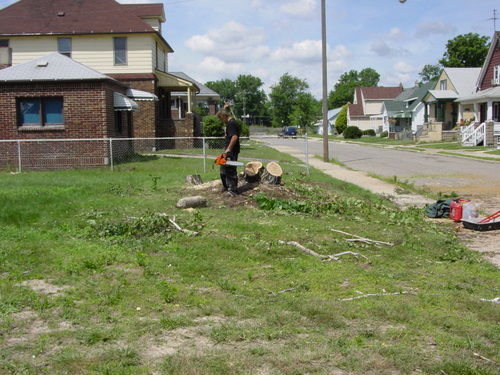 ./Gallery/2011 Bennet Lot Tree Removal/DSC06455.JPG